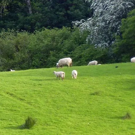 Avondale Farmhouse 3* Pettigoe