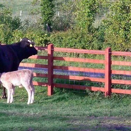 Avondale Farmhouse Pettigoe