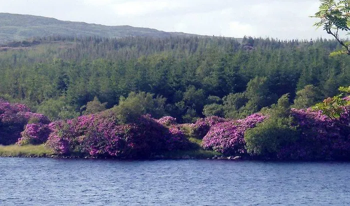 Avondale Farmhouse Bed & Breakfast Pettigoe