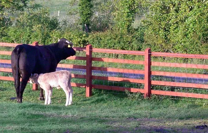Avondale Farmhouse Pettigoe